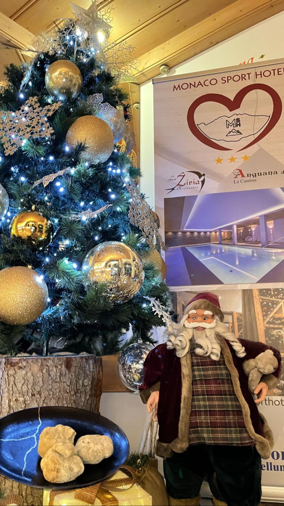 Monaco Sport Hotel Санто-Стефано-ди-Кадоре Экстерьер фото
